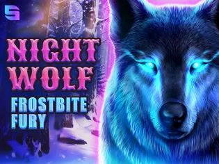 Night Wolf - Frostbite Fury screenshot